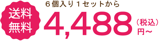 ウェットフード 6個入り1セットから 定期でお届け 送料 無料 4,488（税込）円〜