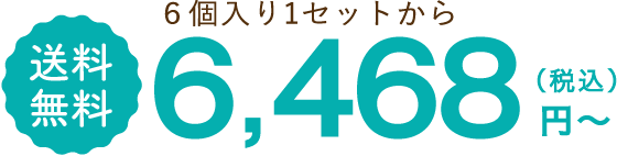 ウェットフード 6個入り1セットから 定期でお届け 送料 無料 6,468（税込）円〜