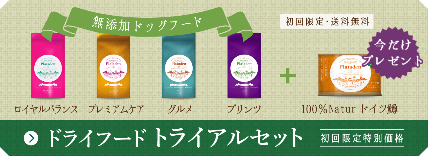 初回限定・送料無料 プレミアムドライフード数量限定トライアルセット