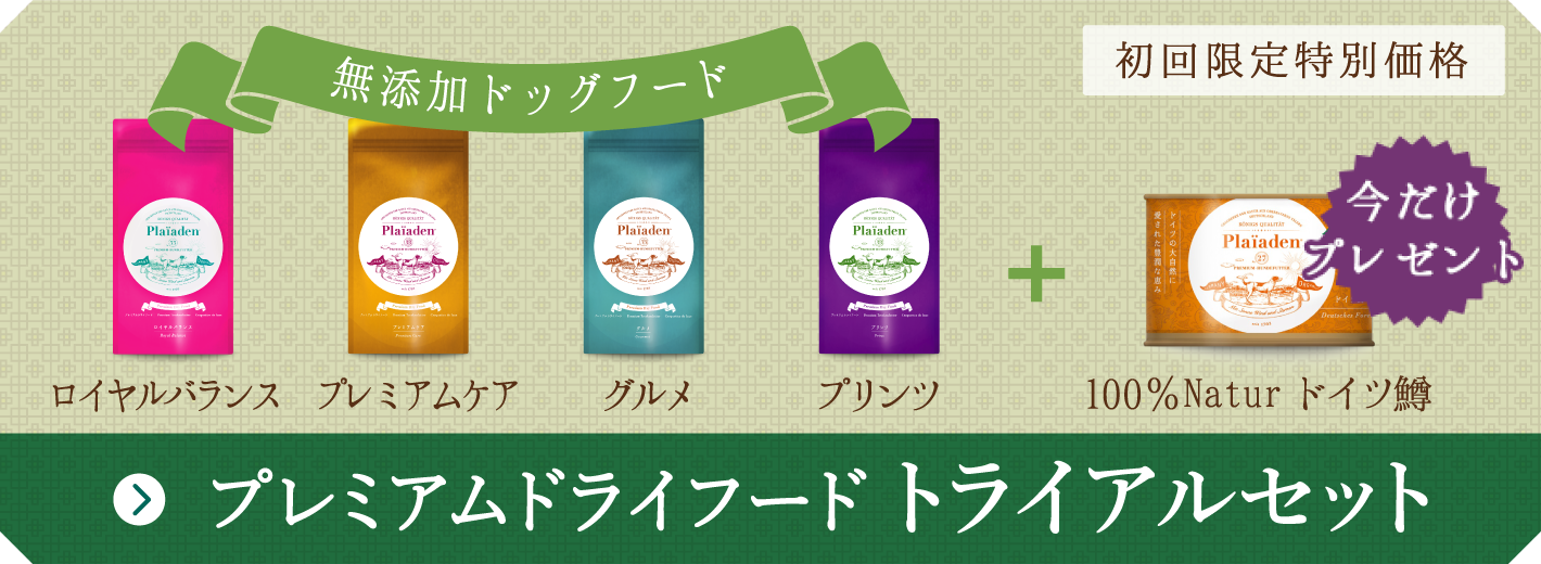 初回限定・特別価格 プレミアムドライフード数量限定トライアルセット