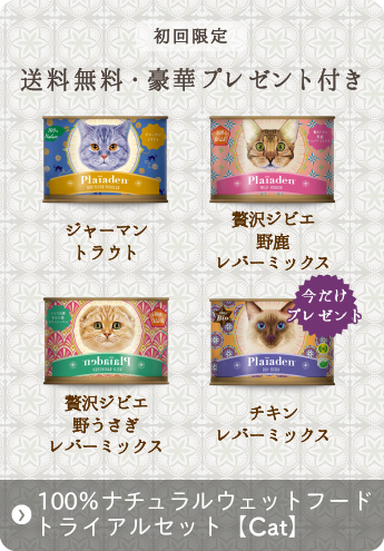プレイアーデン猫用12缶【送料込み】 | gulatilaw.com