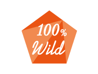 100％Wild